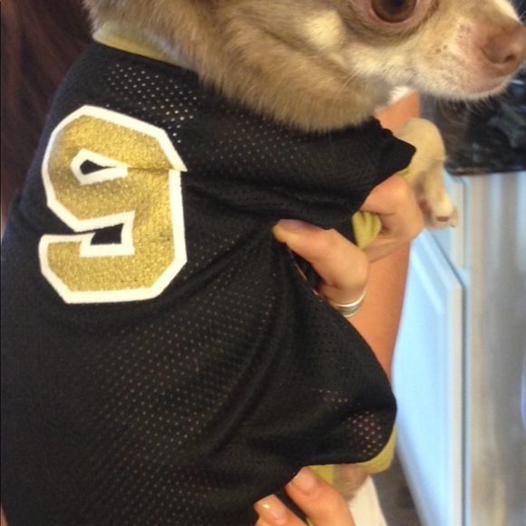 Toy Size Dog Wear - Picture 4 of 4